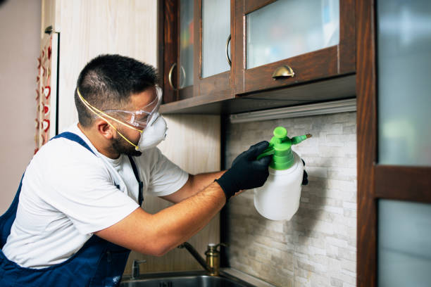 Best Wasp Removal Services  in Raymond, MS
