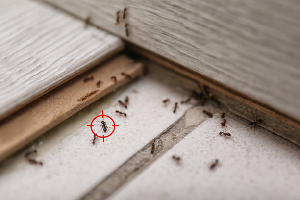 Raymond, MS Pest Control Company