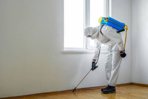 Best Affordable Pest Control Services  in Raymond, MS