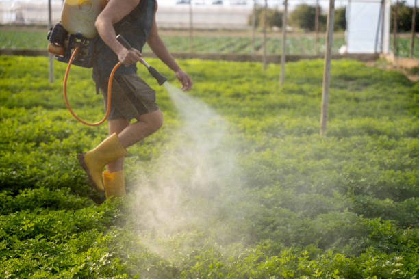 Best Residential Pest Control  in Raymond, MS