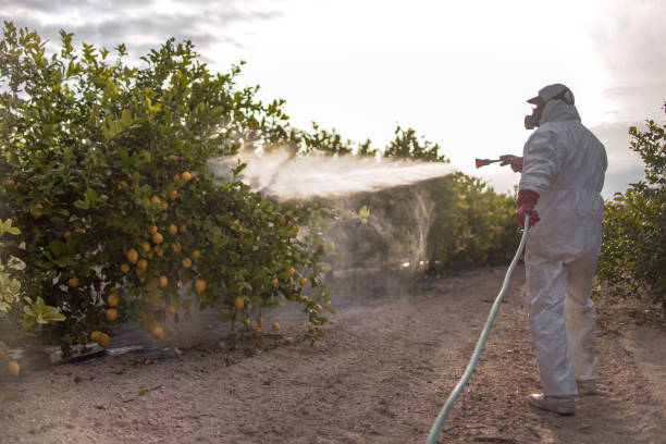 Best Best Pest Control Companies  in Raymond, MS