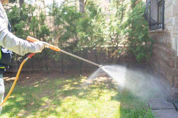 Best Mosquito Control Services  in Raymond, MS