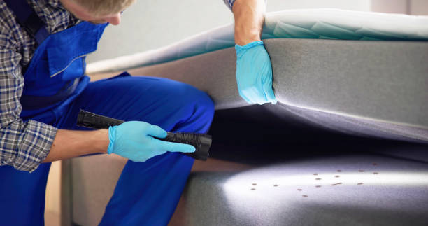 Best Pest Prevention Services  in Raymond, MS