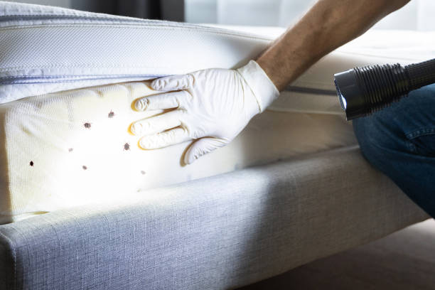 Best Best Pest Control Companies  in Raymond, MS