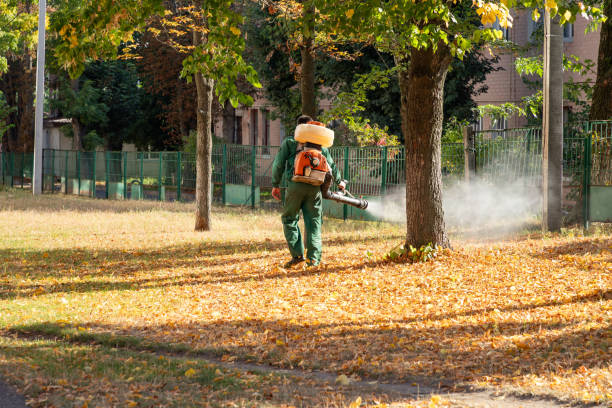 Best Insect Control  in Raymond, MS