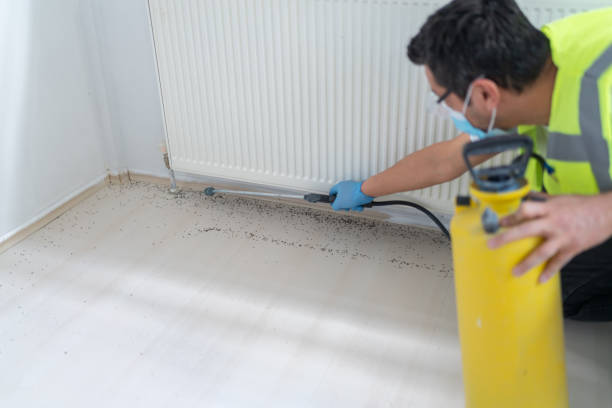 Best Ant Control Services  in Raymond, MS